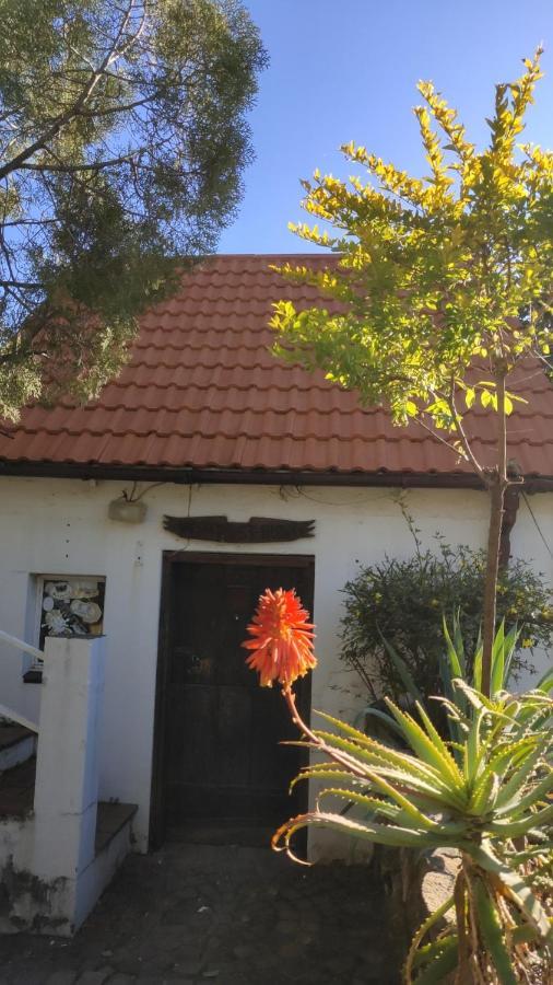 Atlantic Pearl Guest House Midrand Eksteriør billede